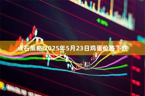 点石策略 2025年5月23日鸡蛋价格下跌