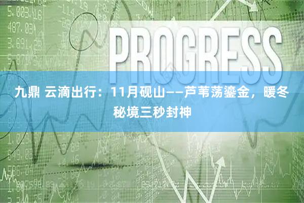 九鼎 云滴出行：11月砚山——芦苇荡鎏金，暖冬秘境三秒封神