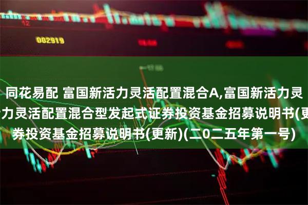 同花易配 富国新活力灵活配置混合A,富国新活力灵活配置混合C: 富国新活力灵活配置混合型发起式证券投资基金招募说明书(更新)(二0二五年第一号)