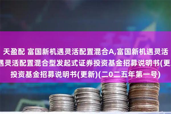 天盈配 富国新机遇灵活配置混合A,富国新机遇灵活配置混合C: 富国新机遇灵活配置混合型发起式证券投资基金招募说明书(更新)(二0二五年第一号)