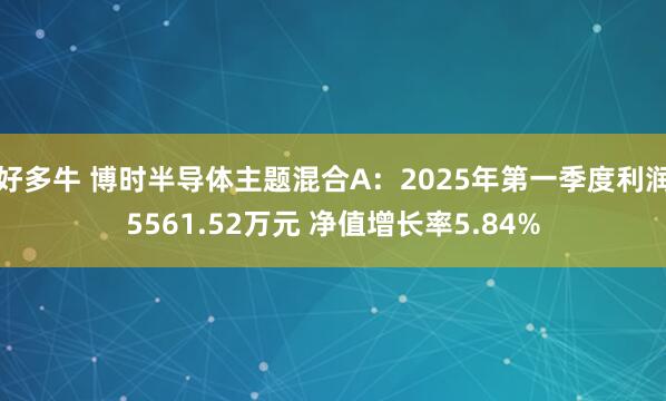好多牛 博时半导体主题混合A：2025年第一季度利润5561.52万元 净值增长率5.84%