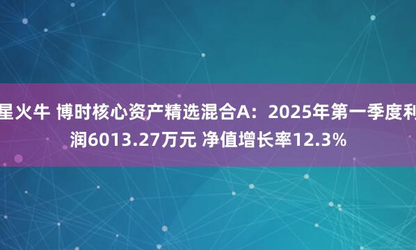 星火牛 博时核心资产精选混合A：2025年第一季度利润6013.27万元 净值增长率12.3%
