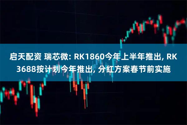 启天配资 瑞芯微: RK1860今年上半年推出, RK3688按计划今年推出, 分红方案春节前实施