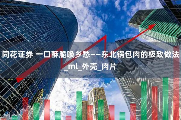 同花证券 一口酥脆唤乡愁——东北锅包肉的极致做法_ml_外壳_肉片